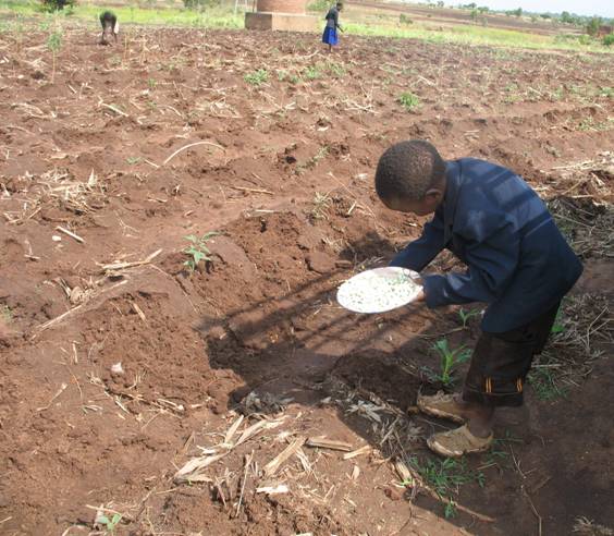 Gleason planting maize with other children at Maoni orphanage farm