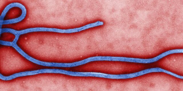 ebola
